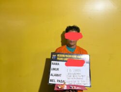 Polsek Kampung Rakyat Ringkus Pria di Perkebunan Sawit Desa Pekan Tolan, 1,46 Gram Sabu Diamankan