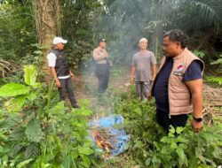 GERMAS TOBA Polres Labusel Gerebek Lokasi Diduga Transaksi Sabu di Kotapinang, Seorang Pria Diamankan