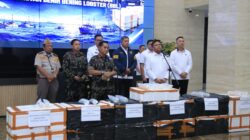 Polri Ungkap Jaringan Penyelundupan Baby Lobster Lintas Negara, Dua Pelaku Ditangkap