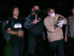 Polisi Selamatkan Induk dan Anak Orang Utan Terdampak Karhutla di Kalimantan Tengah
